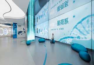 广东椰壳化学过滤器价格