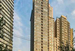 虎丘区无污染园艺产品销售小知识